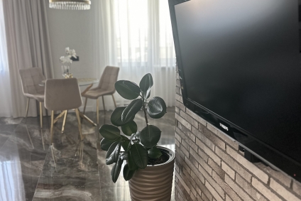 Уютная студия в центре города