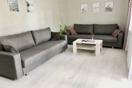 Светлая, просторная квартира