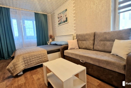 Современная, многофункциональная однокомнатная квартира