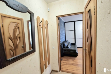 Уютная однушка возле цирка