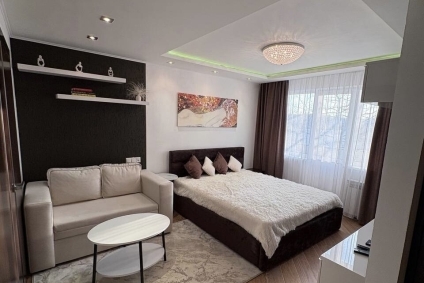 Уютная однокомнатная квартира в центре города