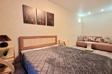 Уютная однокомнатная квартира