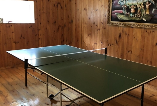 Большой уютный дом в Гомеле